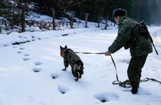 Нарушителей оштрафовали и выдворят из России