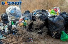 Завхоз волгоградского вуза оказался наёмником мёртвых душ с заработком в 1 млн рублей