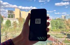 Экспериментальные QR-коды ввели специально для воронежских автомобилистов