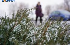 В Волгоградской области предупредили о шторме и снегопаде