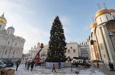 В Москве установили главную елку страны