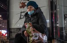 В Воронеже пенсионерка попала в больницу после падения в маршрутке №66 В Воронеже пенсионерка попала в больницу после падения в маршрутке №66