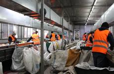 Ставрополье перевыполнило показатели нацпроекта «Экология»