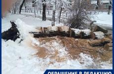 На пер. Халтуринском в Ростове упавшее дерево перегородило дорогу, образовалась пробка