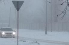 Южный циклон принесёт в Воронежскую область снежную бурю