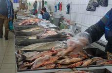 В Волгоградской области продукты подорожали за год до 240%