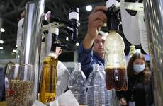 Исследование: доля нелегальной пивной продукции в России за I полугодие выросла до 14%
