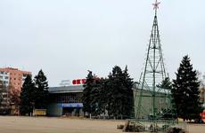 Главную елку Ростова в этом году украсят по-новому