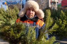 В Волгограде организуют 80 площадок для елочных базаров: список адресов