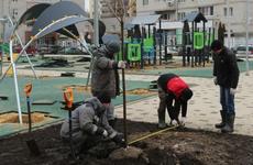 Мэр Вадим Кстенин пообещал Воронежу грандиозное озеленение