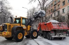 Дорожные предприятия в Петербурге бьют рекорды по вывозу снега