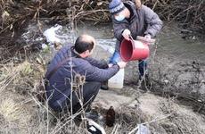 Еще одну реку Ставрополя признали загрязненной