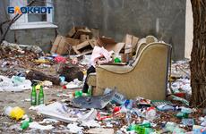 В Волгограде районную администрацию обязали убрать свалку