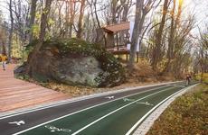 За строительством велотерренкура в Железноводске сможет проследить любой желающий