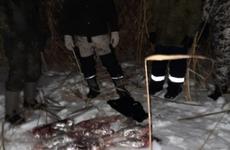 Преследование на снегоходах: полицейские шесть часов искали браконьеров в Волгоградской области