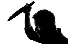 Ростовчанин получил 18 лет за убийство тещи из-за квартиры в Волгограде