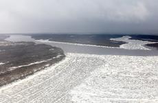 Коренные и проживающие на прибрежных территориях жители НАО смогут охотиться в 15-километровой зоне