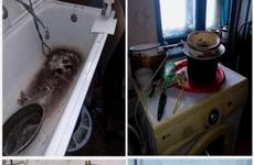 В Камышине против матери шестерых детей завели дело