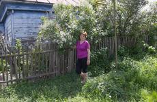 Россиянка умерла после укуса домашней кошки