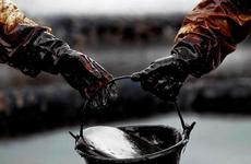 На Ставрополье предстанет перед судом руководитель подразделения преступного сообщества