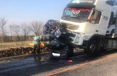 Легковушку расплющило грузовиками: трое погибших в массовом ДТП под Волгоградом