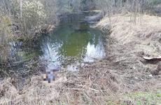 Останки пропавшей женщины нашли в сумке на дне озера в Ленобласти
