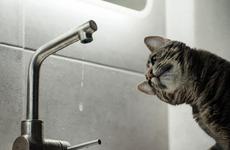 В Ставрополе два десятка домов останутся без воды 29 апреля