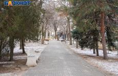 На набережной Волгограда начали высадку крупномерных елей