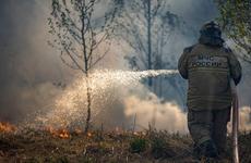 Пять лесных и четыре ландшафтных пожара возникло в Тюменской области за сутки