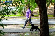 В Волгоградской области за сутки зарегистрировано 8 летальных исходов на 30 мая