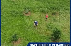 Не дождавшись помощи коммунальщиков, жители Волгодонска сами начали косить траву