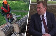 Новую пешеходную дорожку проложат через лес в районе лицея №16 в Ставрополе