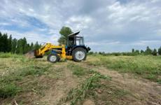 В Волго-Ахтубинской пойме специалисты готовят почву для высадки дубов