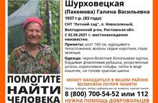 Без вести пропавшую 83-летнюю пенсионерку разыскивают в Волгодонске
