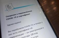 В Волгограде пресекли продажу липовых справок о вакцинации в Интернете