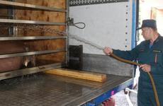 В Туле сотрудники МЧС спасли моржей