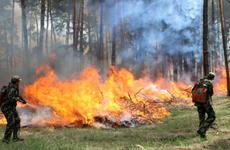 На Ставрополье объявлен режим чрезвычайной пожароопасности
