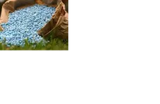 Российские производители удобрений заморозят цены и дадут скидку