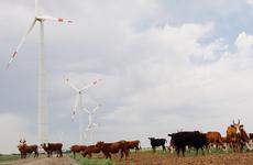 Зеленая энергетика: «Ростелеком» построил цифровую инфраструктуру для Марченковской ветроэлектростанции