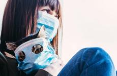 В Ставропольском крае не будут требовать сертификаты о вакцинации от отдыхающих