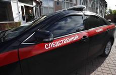 СК начал проверку после жестокого избиения сына Стаса Пьехи