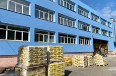 В Новом Сертолово строят школу на 825 учеников