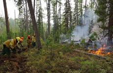 Ущерб от лесных пожаров в Якутии превысил 1 млрд рублей