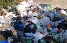 Территория Нового озера в Кисловодске превращается в мусорную свалку