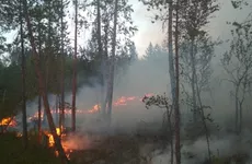 В Суоярвском районе Карелии из-за пожаров введен режим ЧС