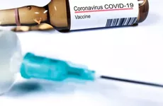 В Ленинградской области более трёхсот тысяч человек привились от COVID-19