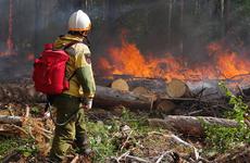 В Якутии и Иркутской области введен межрегиональный режим ЧС из-за лесных пожаров