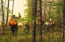 В Киренском районе отменён режим ЧС в связи со стабилизацией пожароопасной обстановки