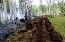 В Иркутской области снят региональный режим ЧС из-за лесных пожаров
