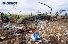 Под Волгоградом пастух подорвался на военном снаряде